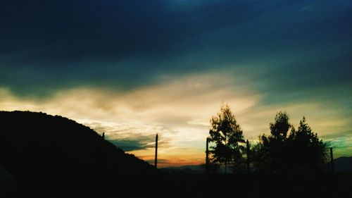 Silhouette of trees at sunset