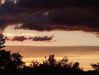 Silhouette trees against sky during sunset