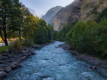 Scenic view of river amidst trees against sky