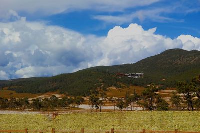 View of trees on landscape against mountain range