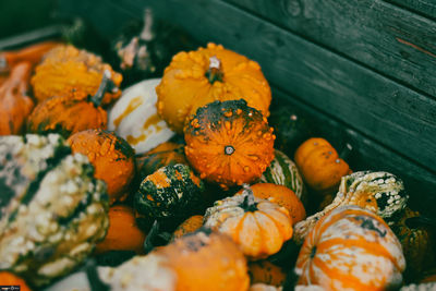 High angle view of pumpkins in market