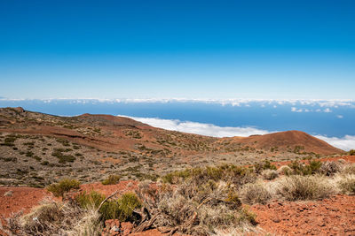 Scenic view of landscape against clear blue sky