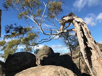 Low angle view of rock formation against sky