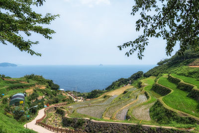 Darangee or daraengi village a rice terrace built on hill looking over ocean. namhae, south korea