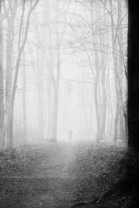 Man walking in forest