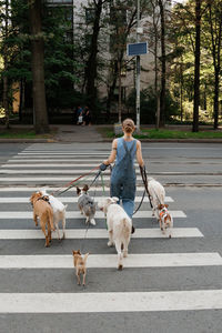 Rear view of man with dog running in park