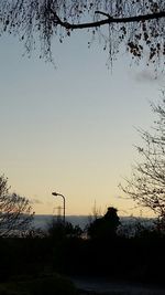Bare trees on landscape at sunset