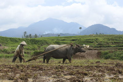 Farmer working in farm against sky