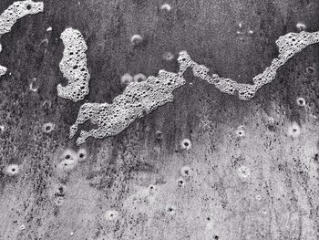 Full frame shot of white surface