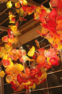 Close-up of flowers hanging from ceiling