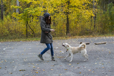 Full length of dog standing on road