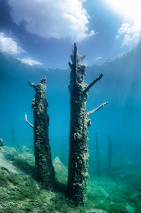 Damaged tree trunk by sea against sky