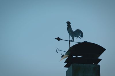 Low angle view of birds perched against clear blue sky