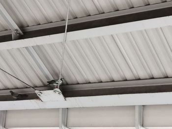 Low angle view of electric lamp on roof