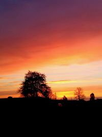 Silhouette trees against sky during sunset