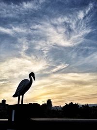 Silhouette bird perching on built structure against sky