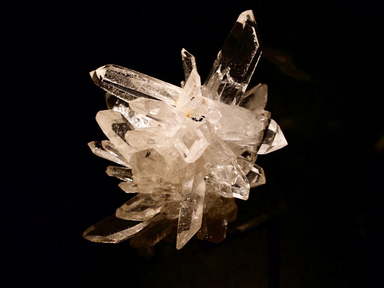 CLOSE-UP OF WHITE FLOWER