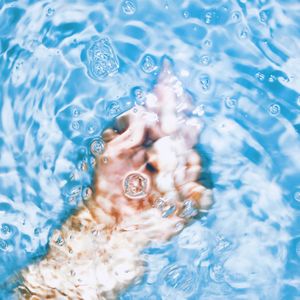 High angle view of woman swimming in pool