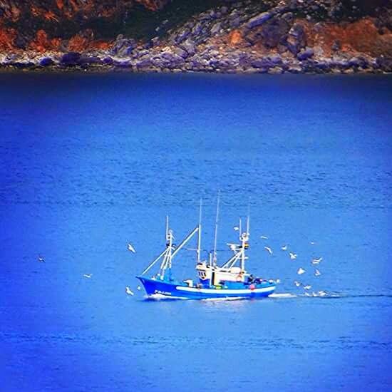 nautical vessel, boat, transportation, water, mode of transport, moored, sea, blue, tranquility, tranquil scene, travel, nature, waterfront, beauty in nature, horizon over water, high angle view, day, sailboat, scenics, sailing