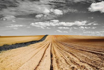 Scenic view of agricultural field against sky