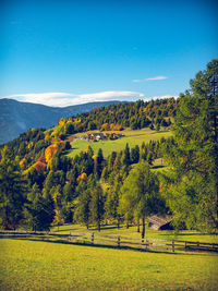 Scenic view of trees on field against blue sky