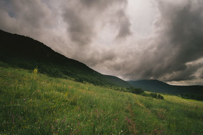 Scenic view of field against sky