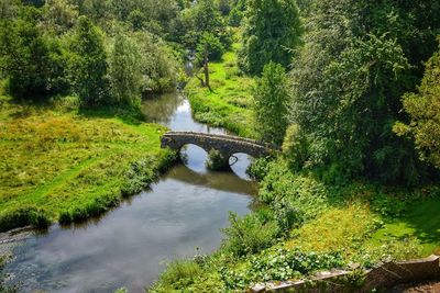 Arch bridge over river amidst trees