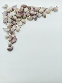 High angle view of candies on table against white background