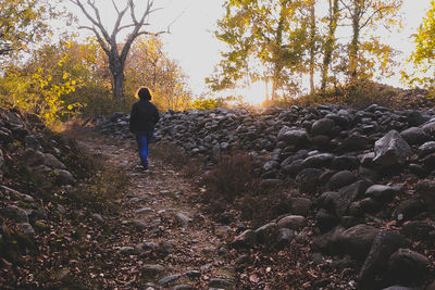 Rear view of man walking in forest