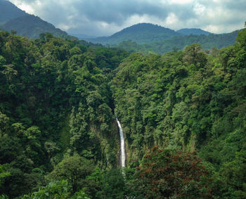 Beautiful lonely waterfall in the costa rican jungle