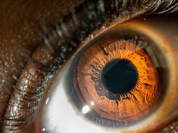 Cropped image of human eye