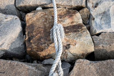 Close-up of rope tied on rock