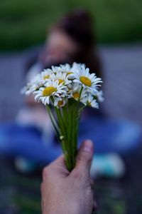 Cropped hand holding white flowers