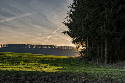 Scenic view of agricultural field against sky during sunset