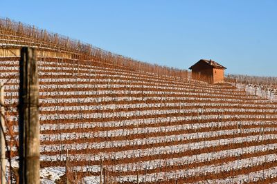 Panoramic view of agricultural field against clear sky