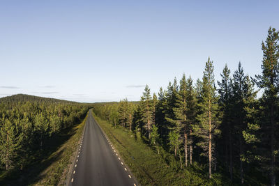 Country road going through forest