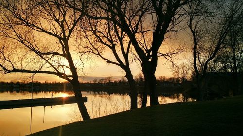 Reflection of trees in lake