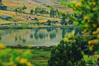 Scenic view of lake and trees