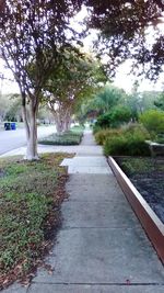 Narrow pathway in park