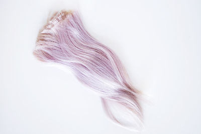 Close-up of over white background