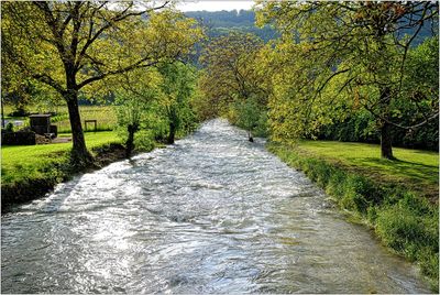Road amidst trees on landscape against sky