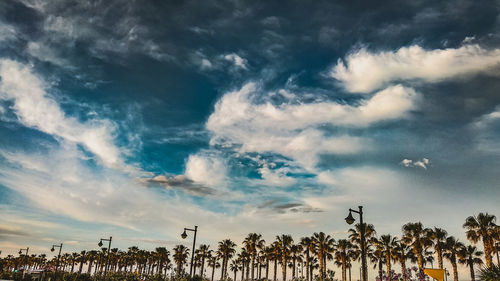 Low angle view of people by palm trees against sky