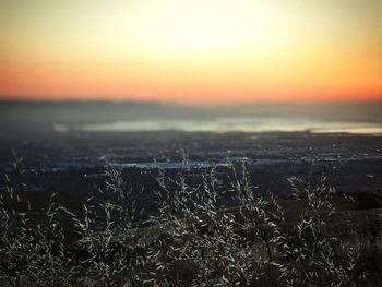 Scenic view of landscape at sunset