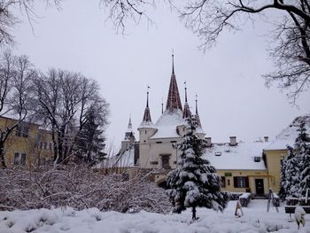 Snow covered trees in winter