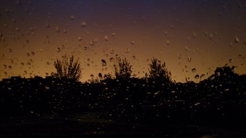 Silhouette trees against sky at night