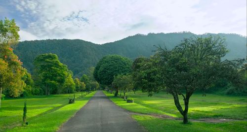 Scenic view of trees and mountains against sky