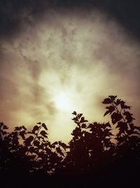 Low angle view of trees against cloudy sky