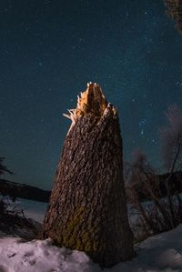 View of tree against sky at night