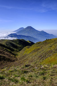 Scenic view of landscape against blue sky