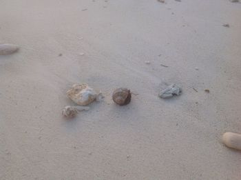 High angle view of sand on beach